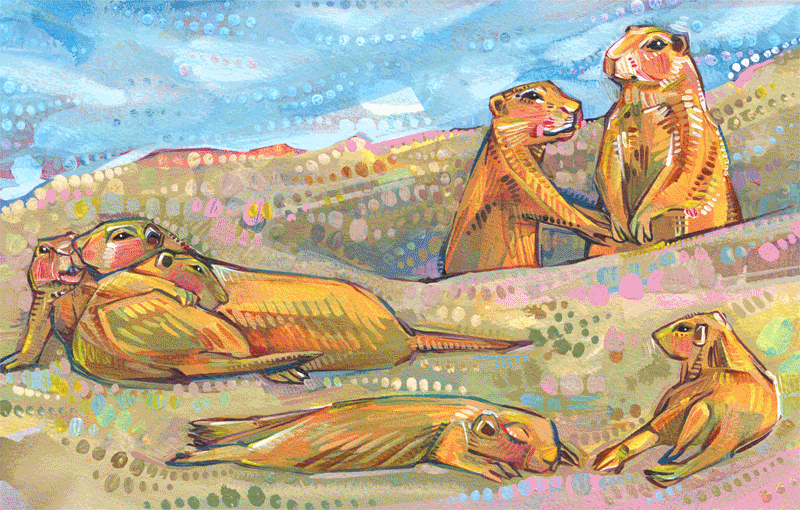 processus pour peindre des chiens de prairie