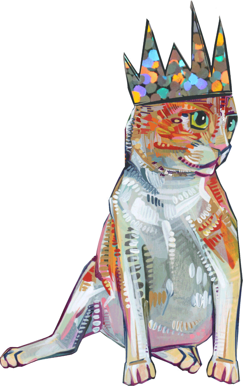 white and orange cat in a glitter crown