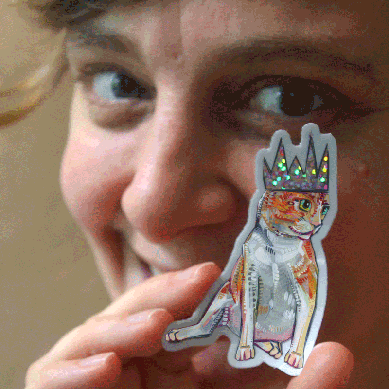 white and orange cat in a glitter crown