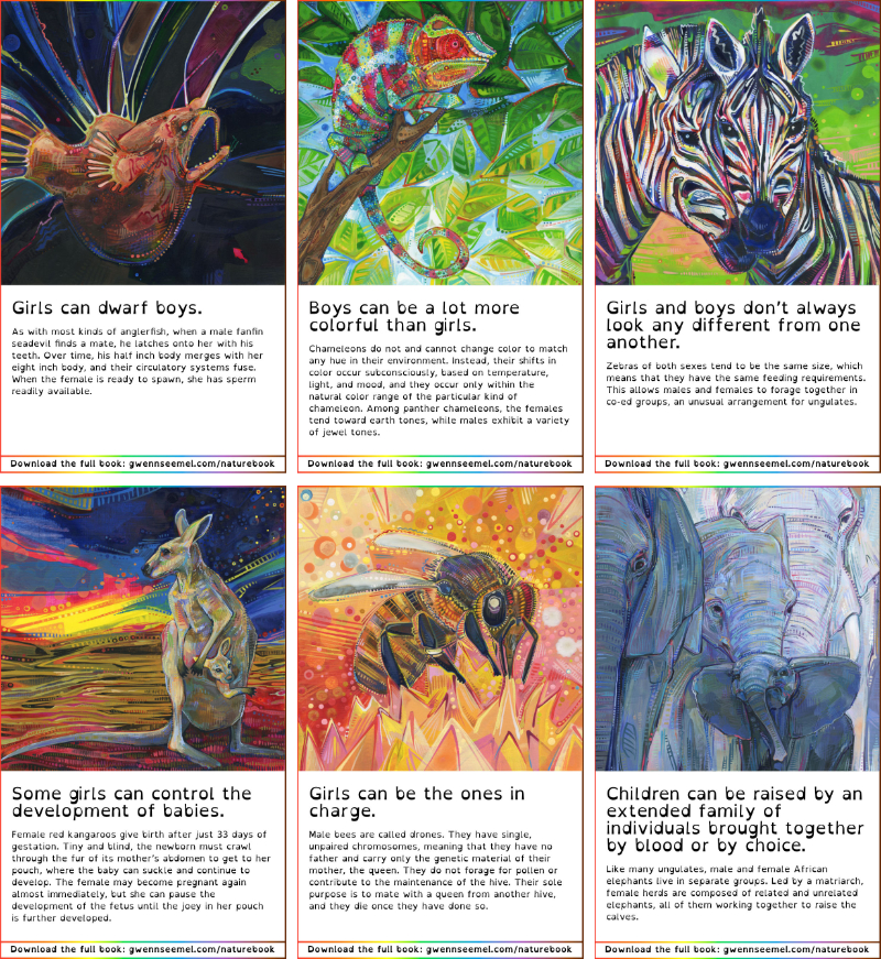 animal description cards