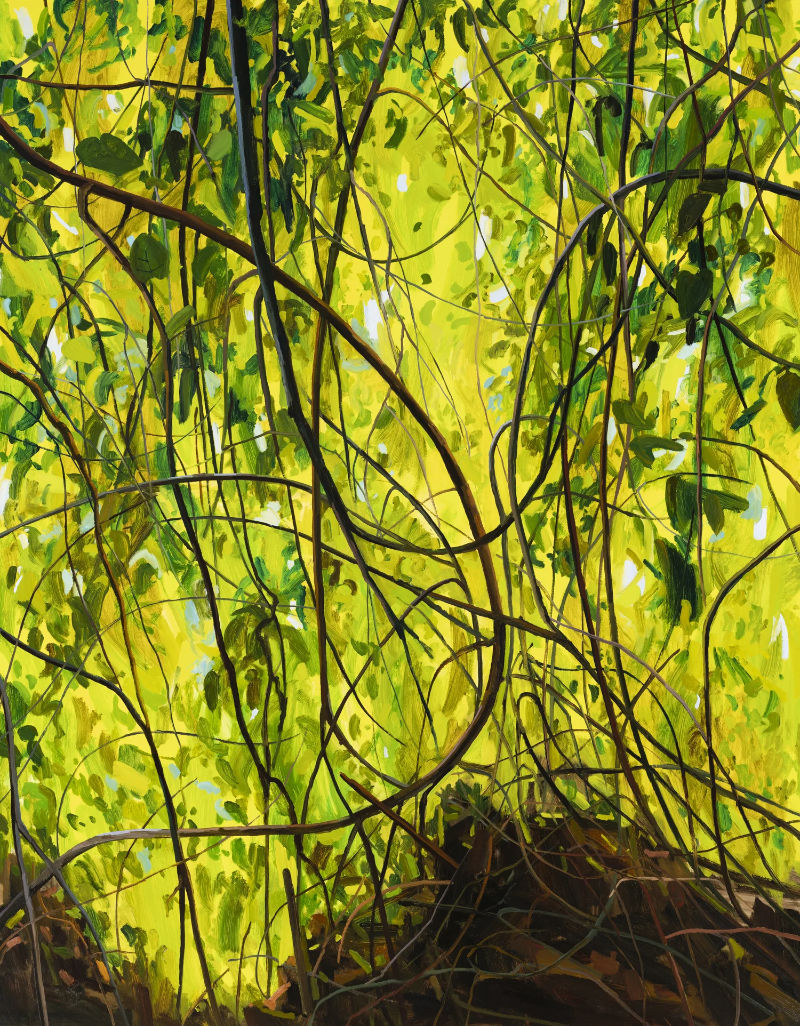 Claire Sherman&rsquo;s art